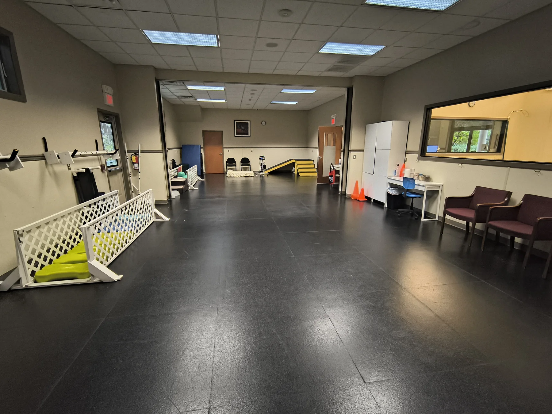Laser therapy at Animal Therapy Center