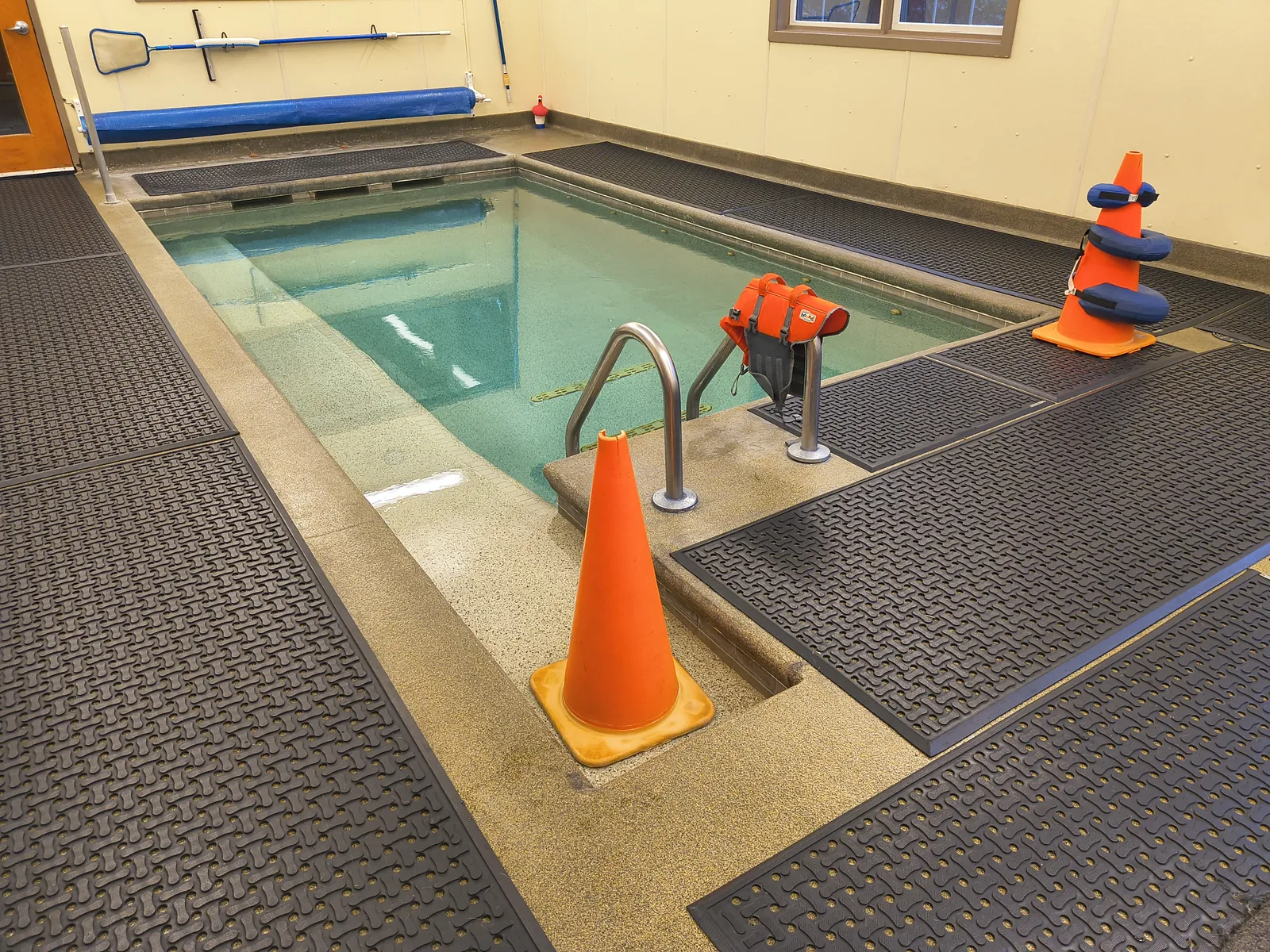 Indoor heated pool at Animal Therapy Center