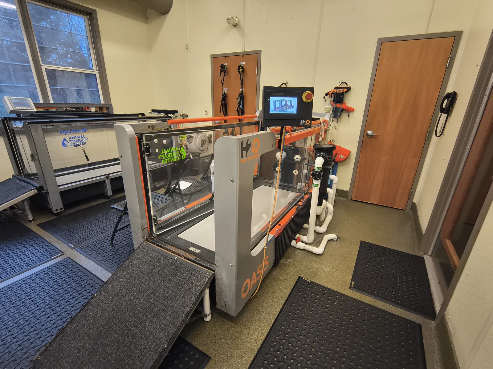 Oasis underwater treadmill at Animal Therapy Center